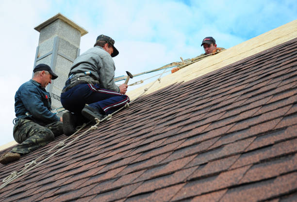 Best Roof Inspection Near Me  in Coralville, IA