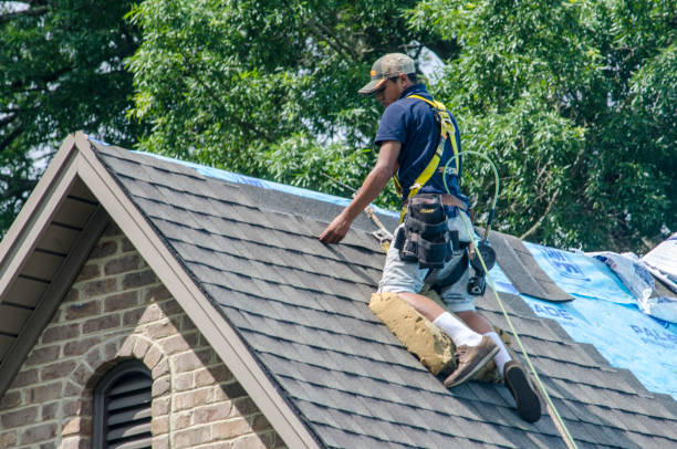 Best Roof Gutter Cleaning  in Coralville, IA